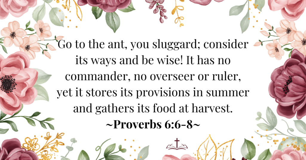 What does Proverbs 6 mean? - An Awesome Application