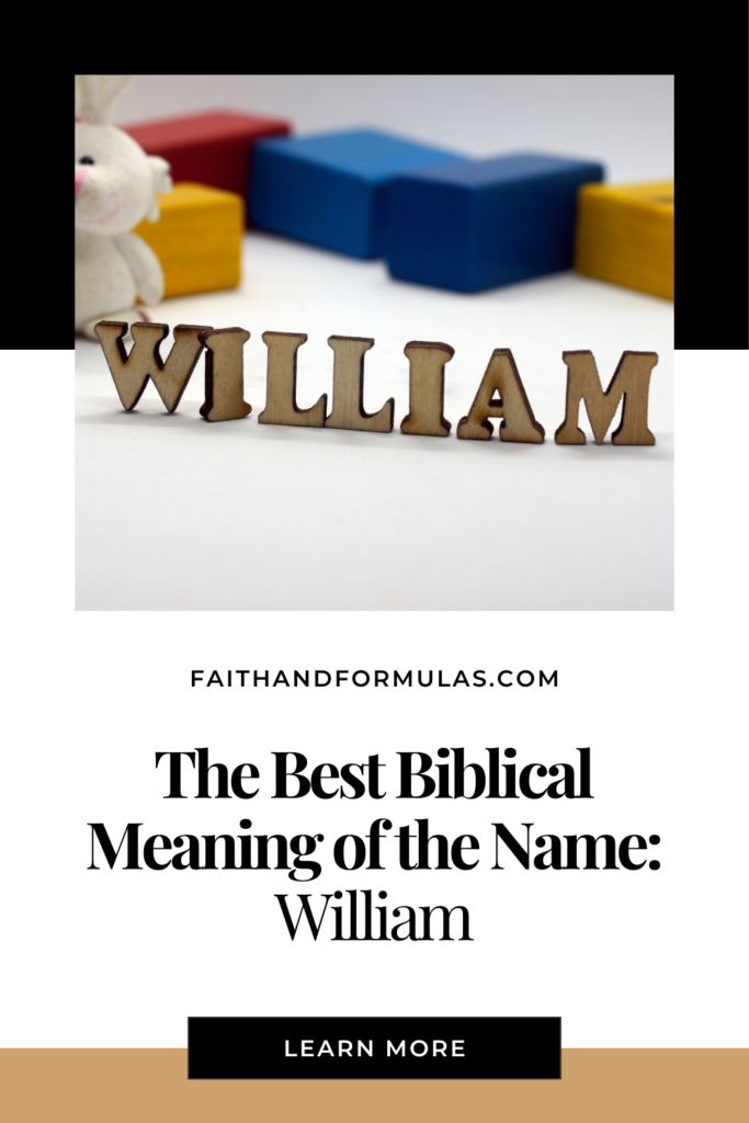 biblical meaning of the name william