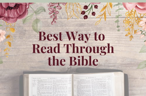 best way to read through the bible