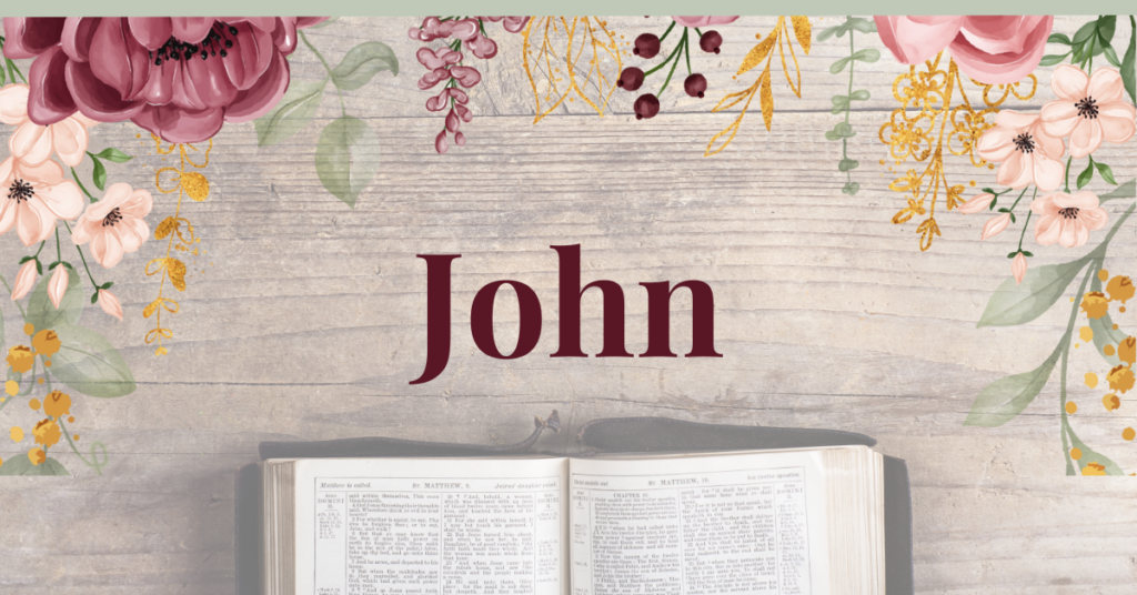 john book of the bible