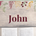 john book of the bible