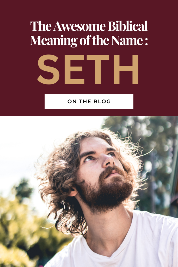 biblical meaning of the name seth