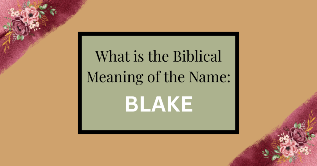 biblical meaning of the name blake