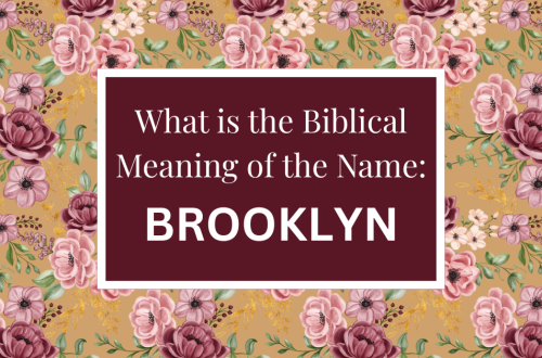 biblical meaning of the name brooklyn