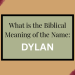 biblical meaning of the name dylan