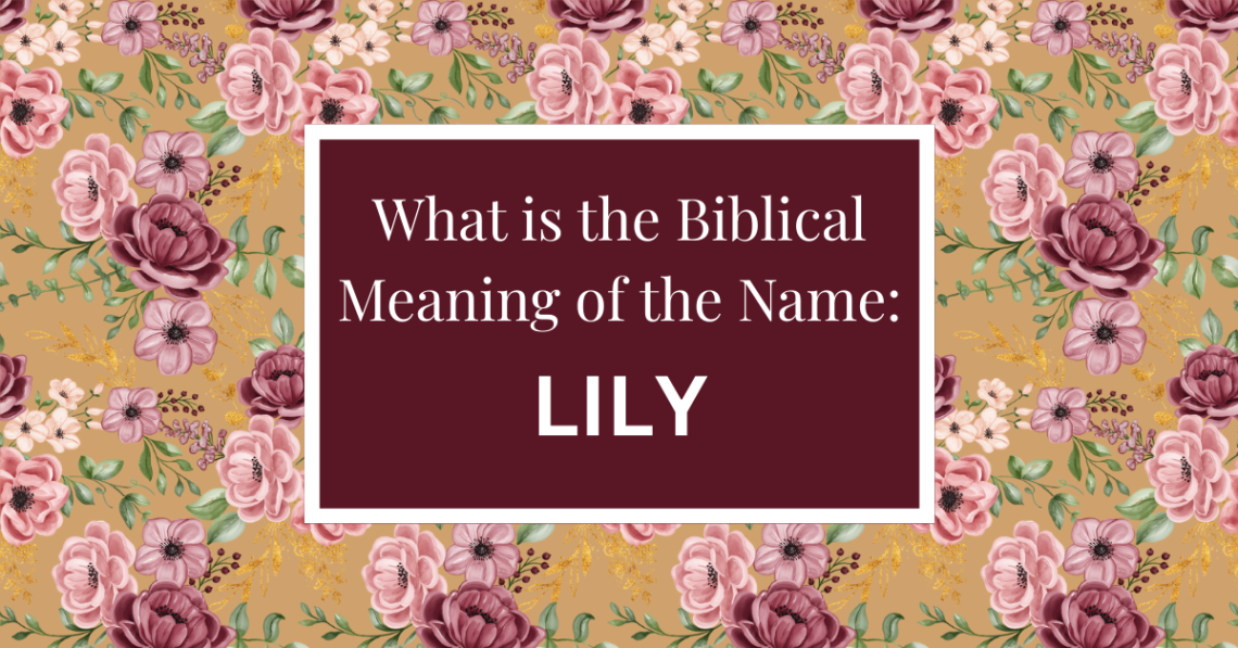 biblical meaning of the name lily