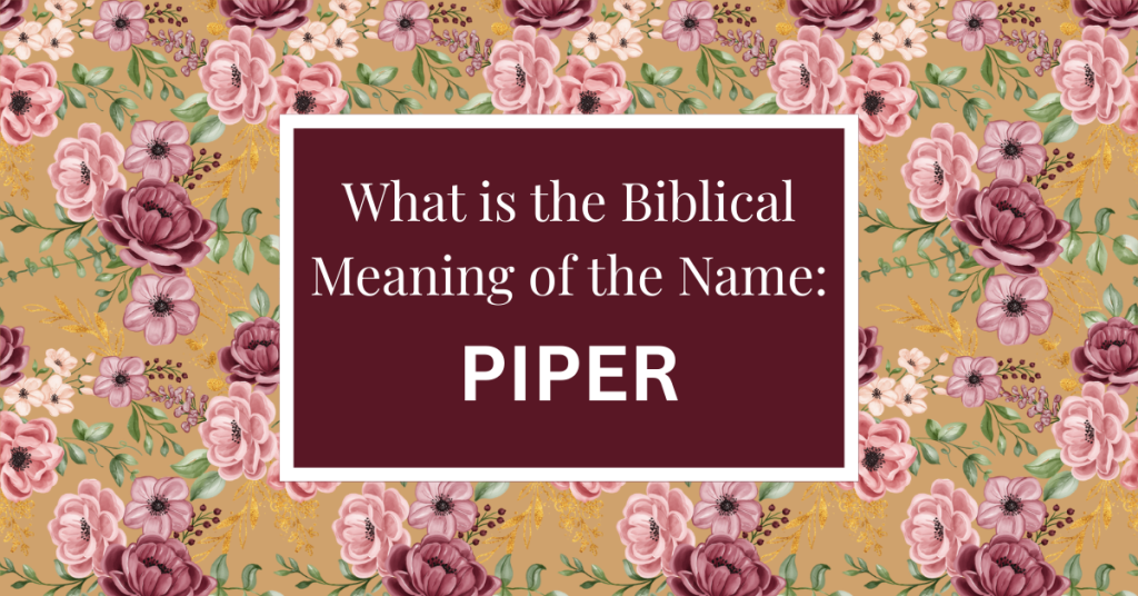 biblical meaning of the name piper