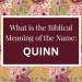 biblical meaning of the name quinn