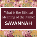 biblical meaning of the name savannah