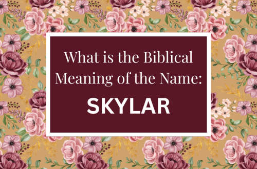 biblical meaning of the name skylar