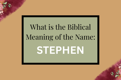 biblical meaning of the name stephen