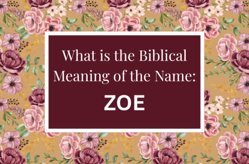 biblical meaning of the name zoe