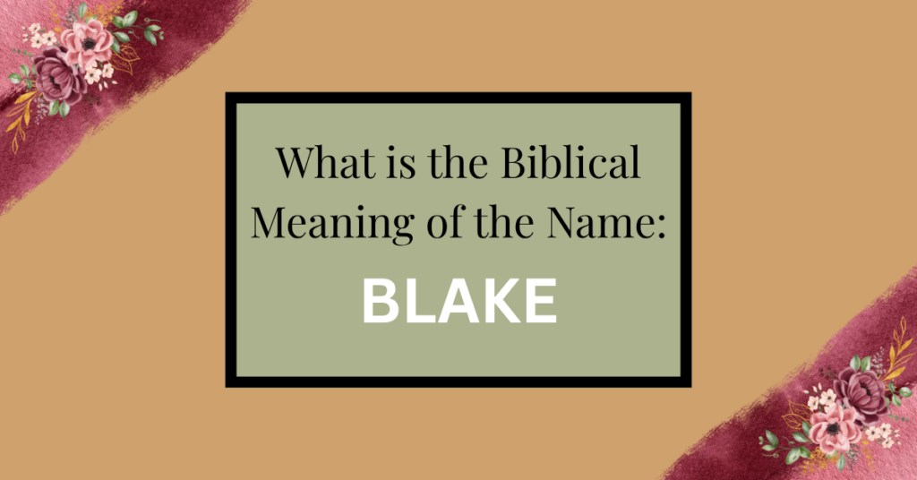 biblical meaning of the name blake