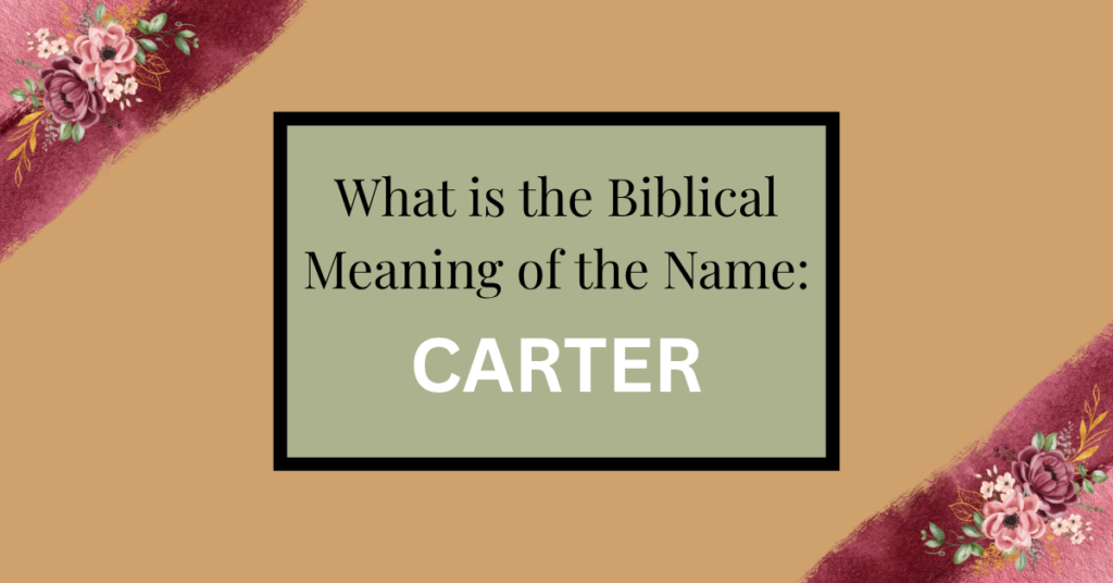 biblical meaning of the name carter