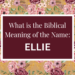biblical meaning of the name ellie