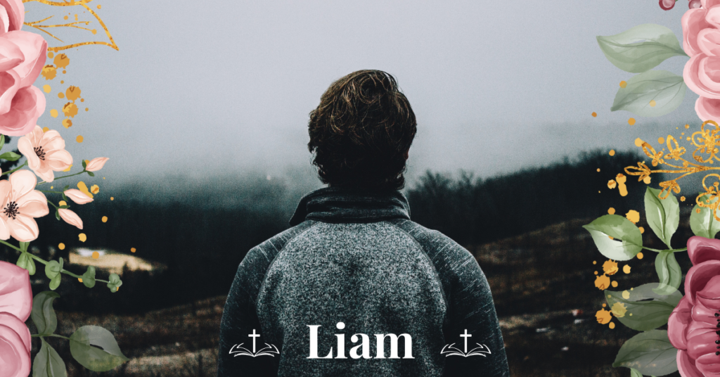 biblical meaning of the name liam