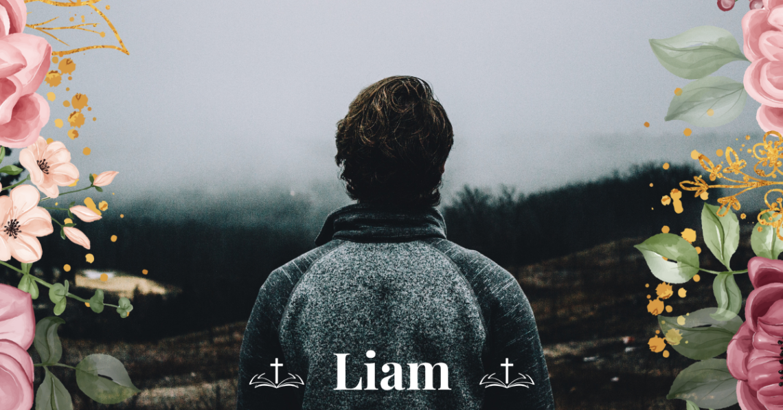 biblical meaning of the name liam