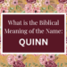 biblical meaning of the name quinn