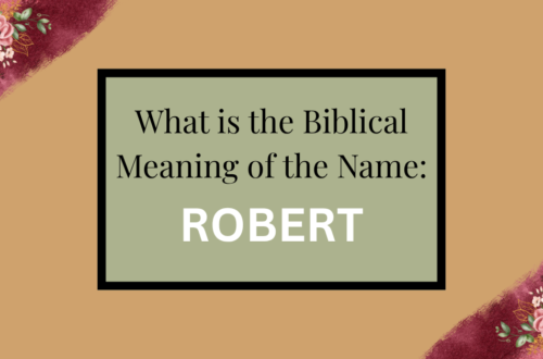 biblical meaning of the name robert