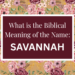 biblical meaning of the name savannah