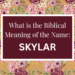 biblical meaning of the name skylar