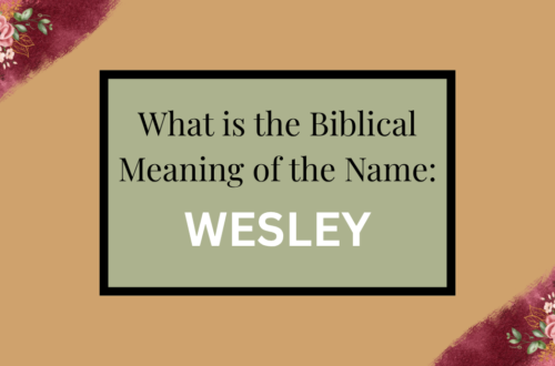 biblical meaning of the name wesley