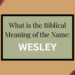 biblical meaning of the name wesley