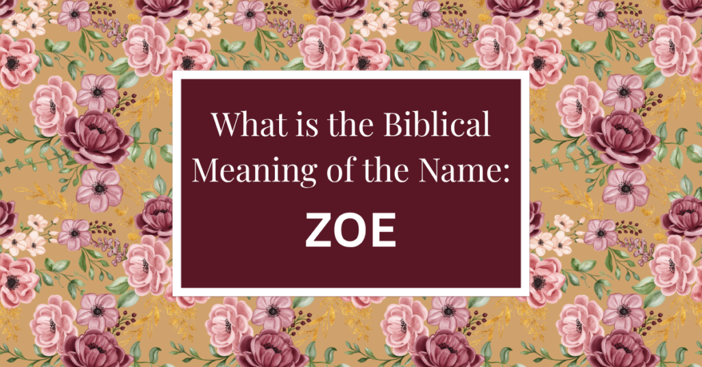 biblical meaning of the name zoe