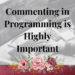 commenting in programming is highly important
