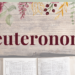 deuteronomy