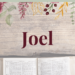 joel