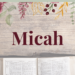 micah