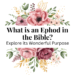 ephod in the bible