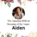 biblical meaning of the name aiden