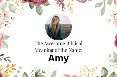 biblical meaning of the name amy