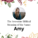 biblical meaning of the name amy