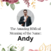 biblical meaning of the name andy