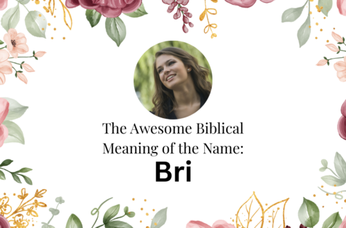 biblical meaning of the name bri
