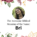 biblical meaning of the name bri