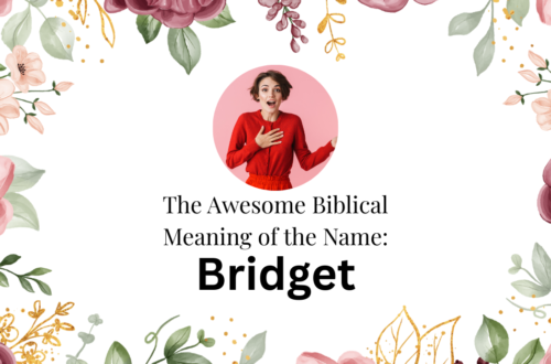 biblical meaning of the name bridget