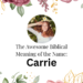 biblical meaning of the name carrie
