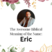 biblical meaning of the name eric