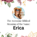 biblical meaning of the name erica