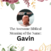biblical meaning of the name gavin