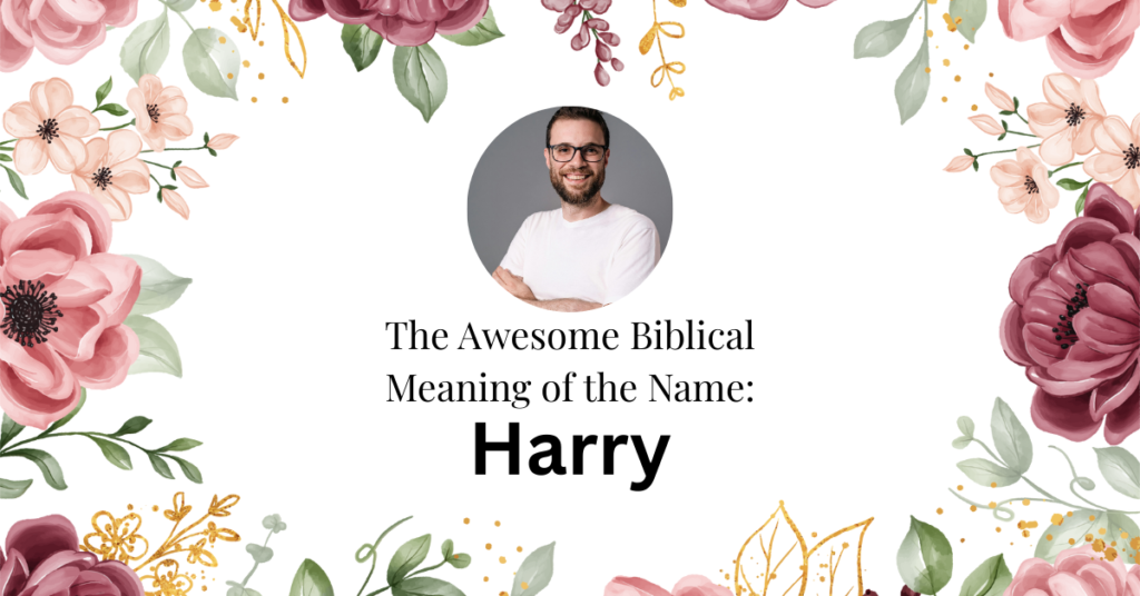 biblical meaning of the name harry