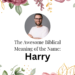 biblical meaning of the name harry