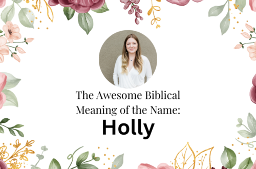 biblical meaning of the name holly