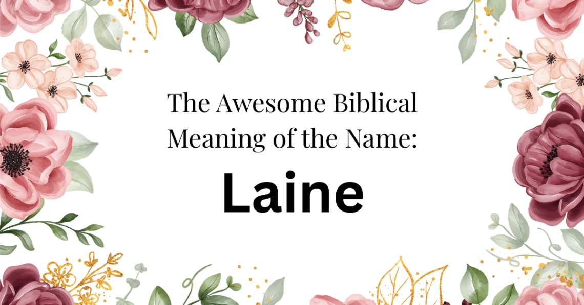 biblical meaning of the name laine