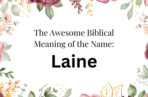 biblical meaning of the name laine