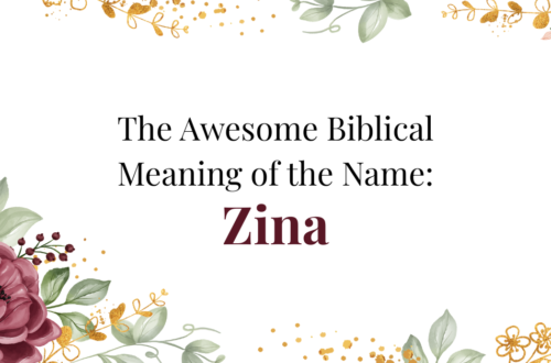biblical meaning of the name zina